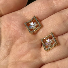 Load image into Gallery viewer, Framed Flower Studs