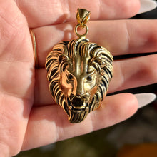 Load image into Gallery viewer, Lions Head Pendant