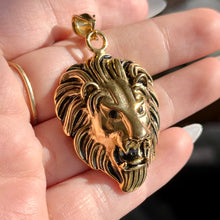 Load image into Gallery viewer, Lions Head Pendant