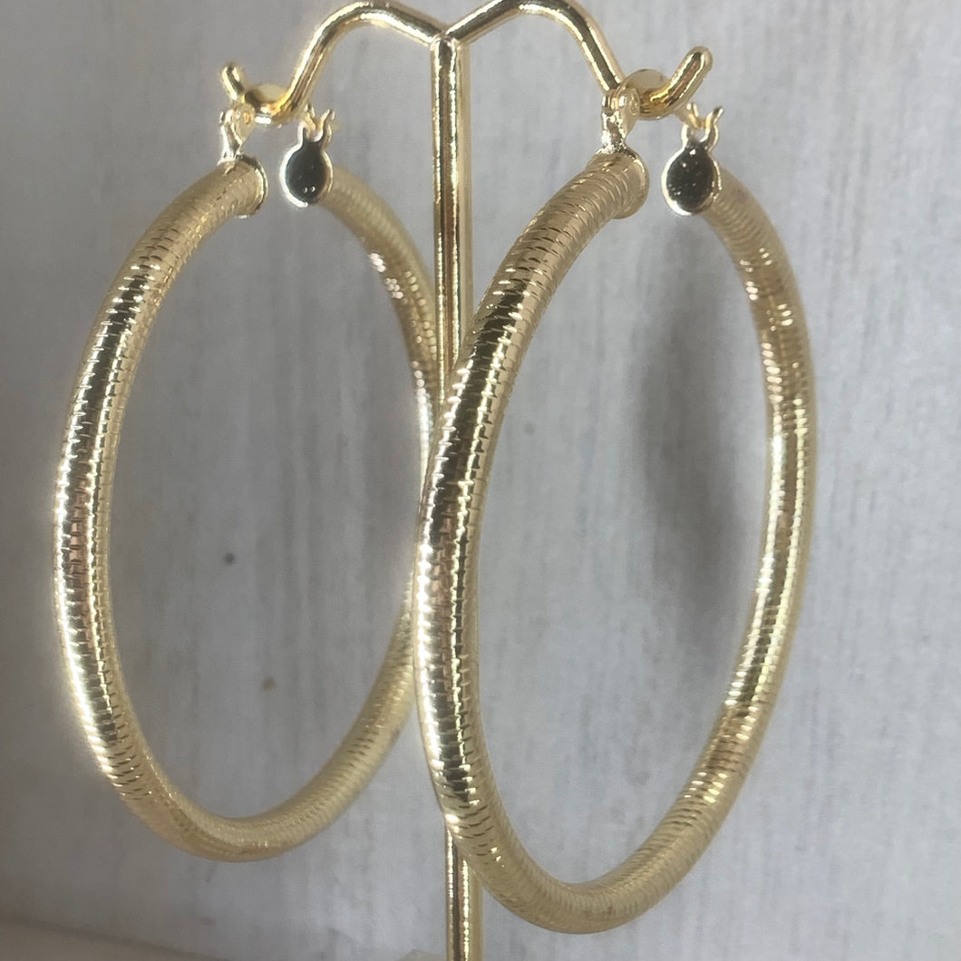 Bold Hoops