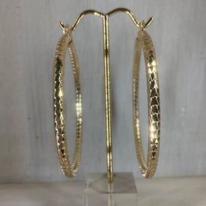 Bold Hoops