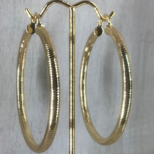 Bold Hoops