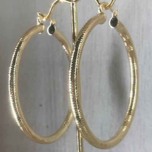 Bold Hoops