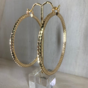 Bold Hoops