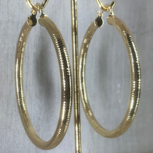 Bold Hoops