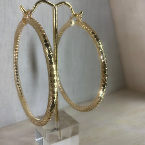 Bold Hoops